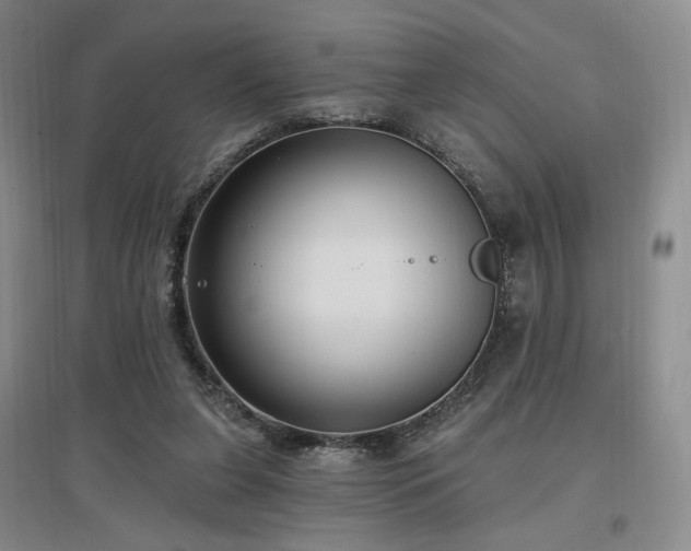 X0000097510255200802221513