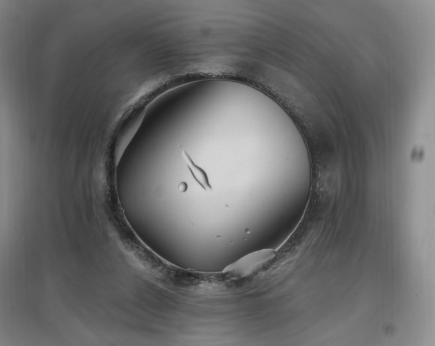 X0000097510256200802221513