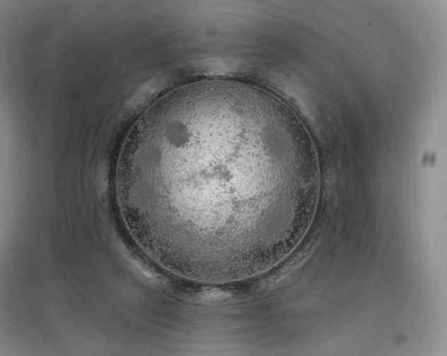 X0000097510257200802221513