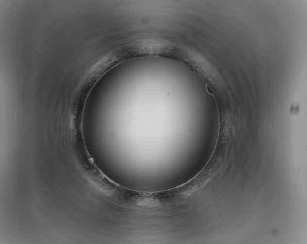 X0000097510258200802221513