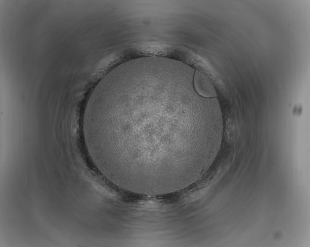 X0000097510259200802221513
