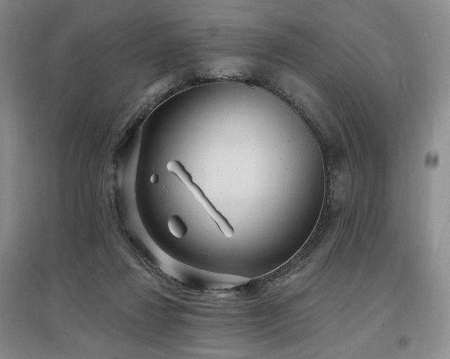 X0000097510260200802221513