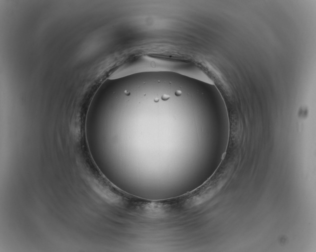 X0000097510261200802221513