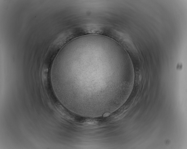 X0000097510263200802221514