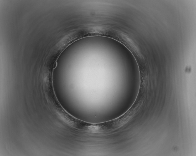 X0000097510265200802221514