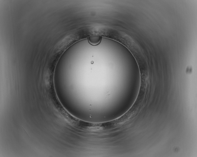 X0000097510266200802221514
