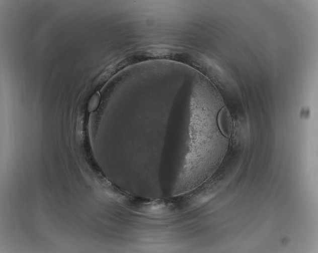 X0000097510267200802221514