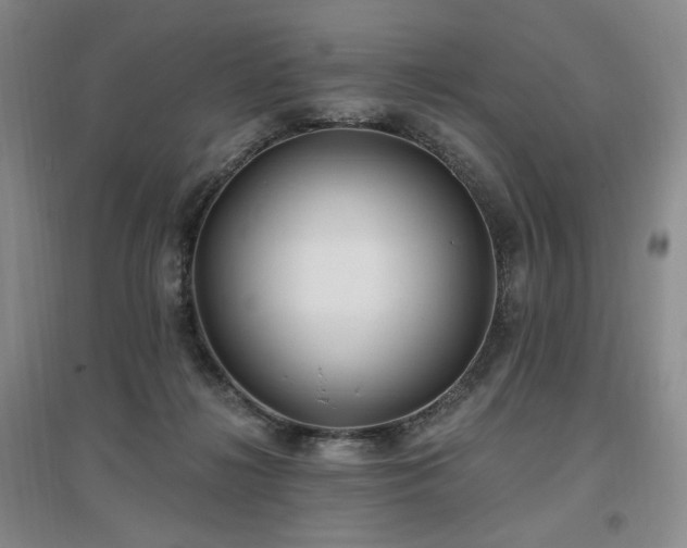 X0000097510268200802221514