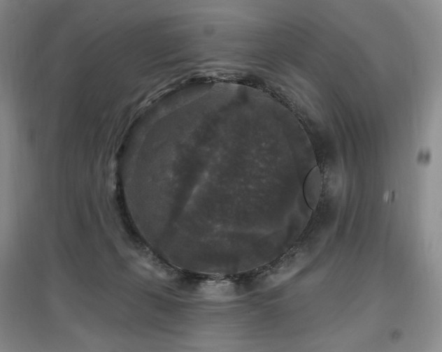 X0000097510271200802221514