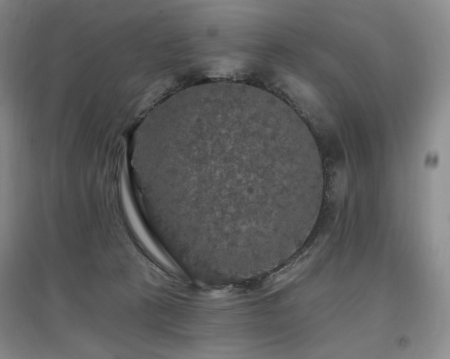 X0000097510273200802221514
