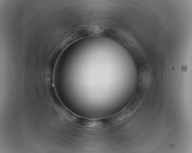 X0000097510274200802221514