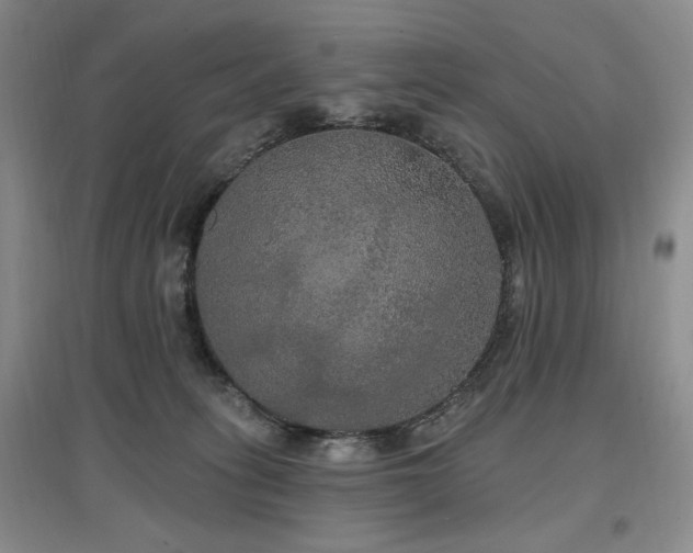 X0000097510275200802221514