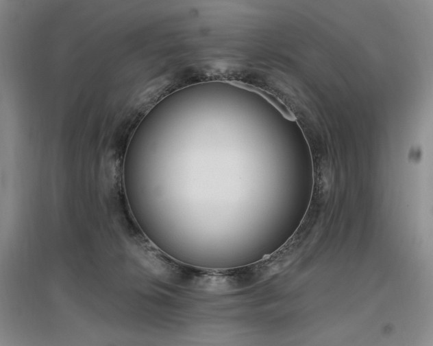 X0000097510276200802221514
