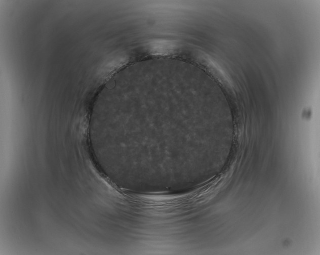 X0000097510277200802221514