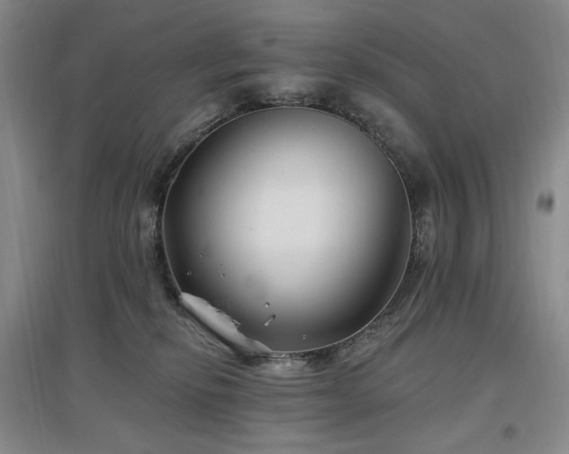 X0000097510278200802221514