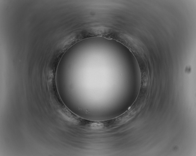 X0000097510279200802221514