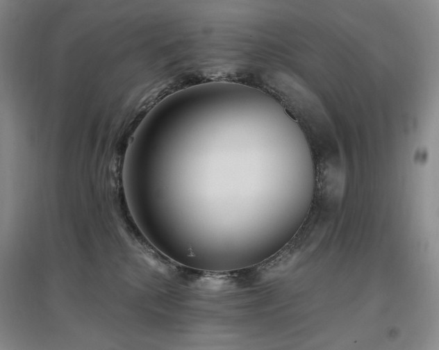 X0000097510280200802221514