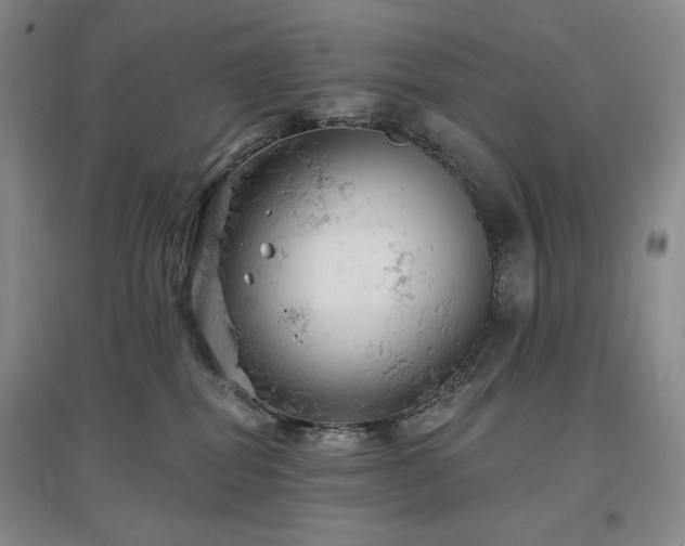X0000097510282200802221514