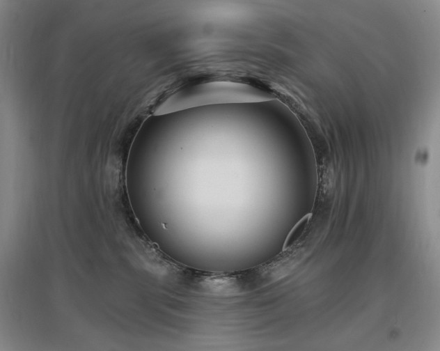 X0000097510283200802221514