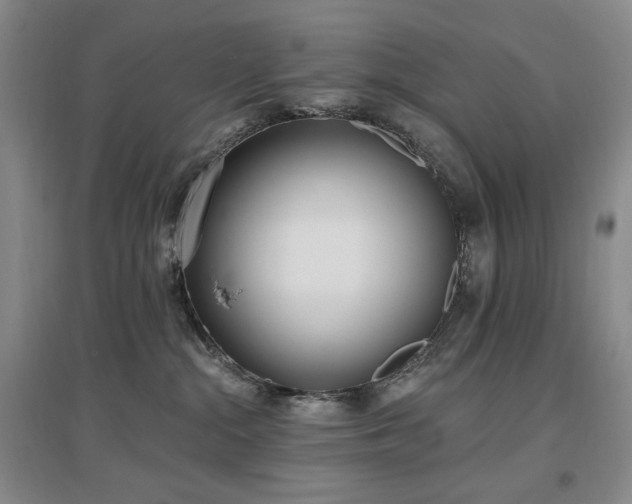 X0000097510284200802221514