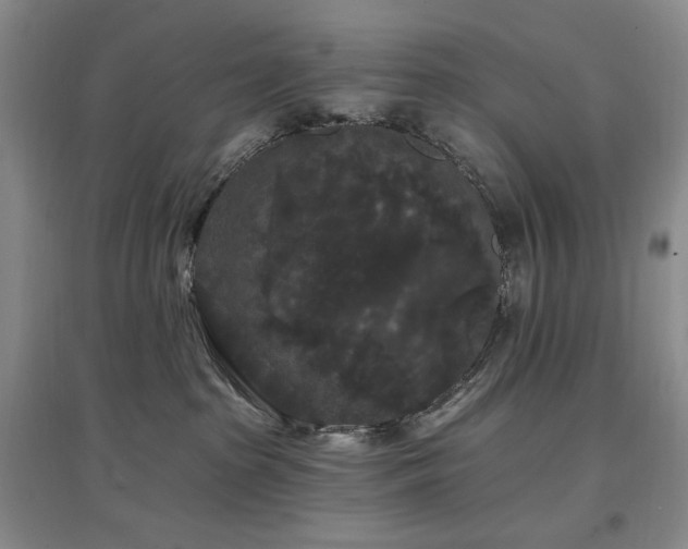 X0000097510285200802221514