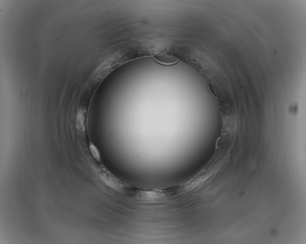 X0000097510286200802221514