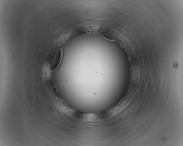 X0000097510287200802221514