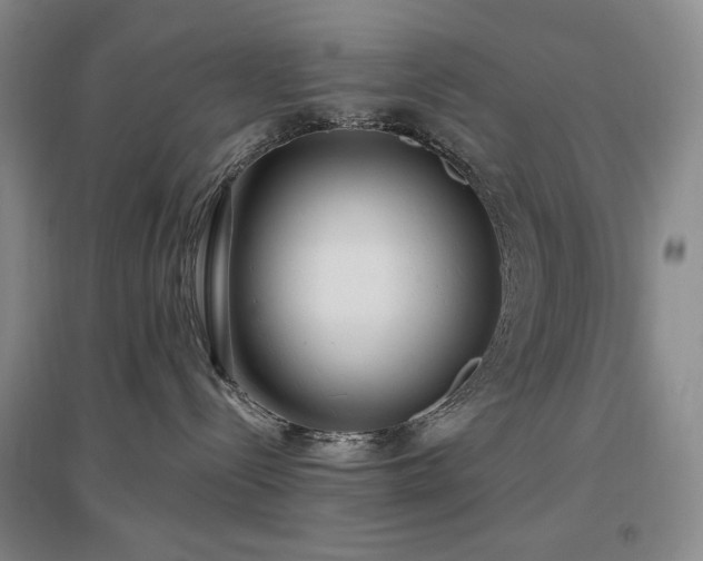 X0000097510288200802221514