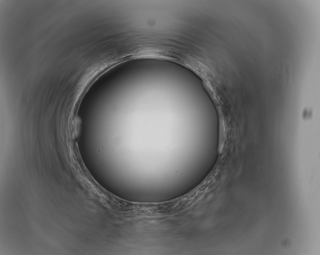 X0000097510289200802221513