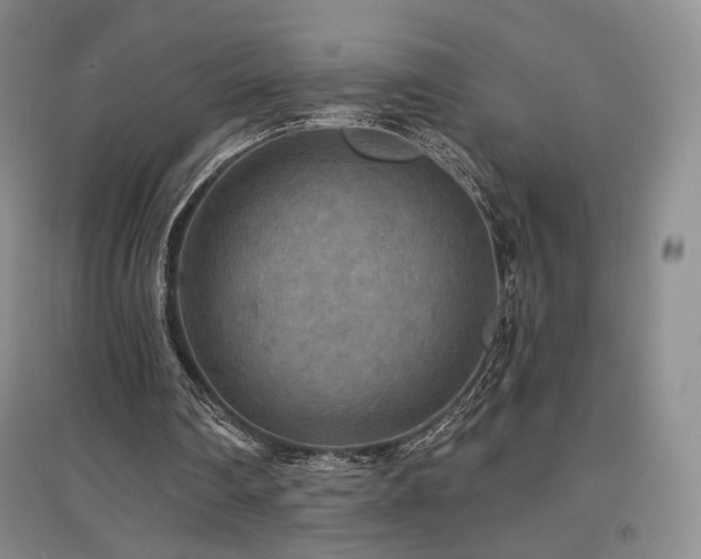 X0000097510290200802221513
