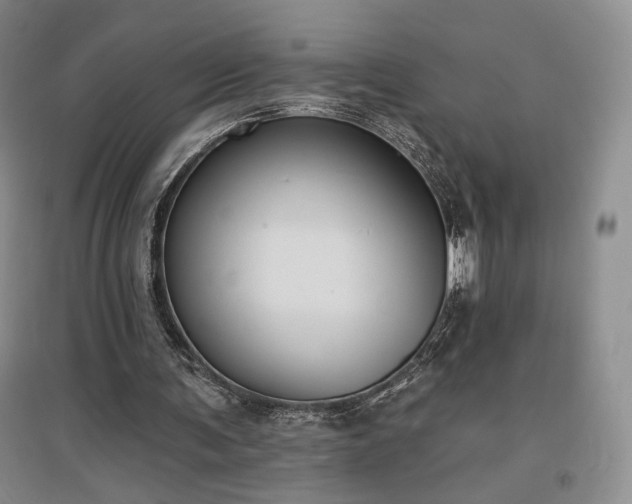 X0000097510291200802221513