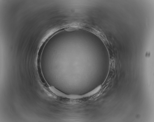 X0000097510292200802221513