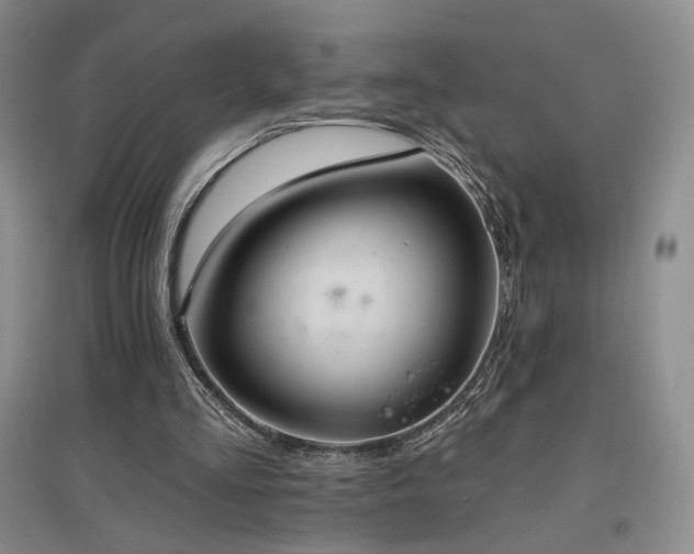 X0000097510293200802221513