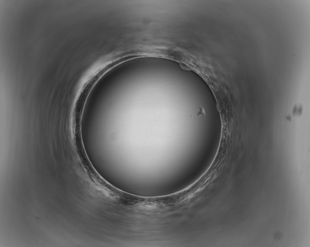 X0000097510294200802221513