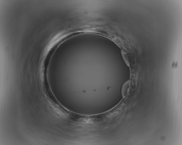 X0000097510295200802221513