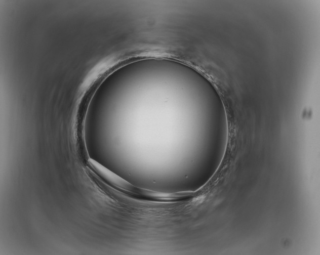 X0000097510296200802221513