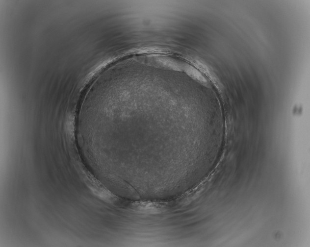 X0000097510297200802221513