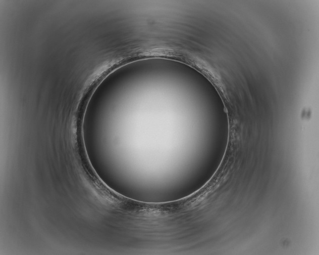 X0000097510298200802221513