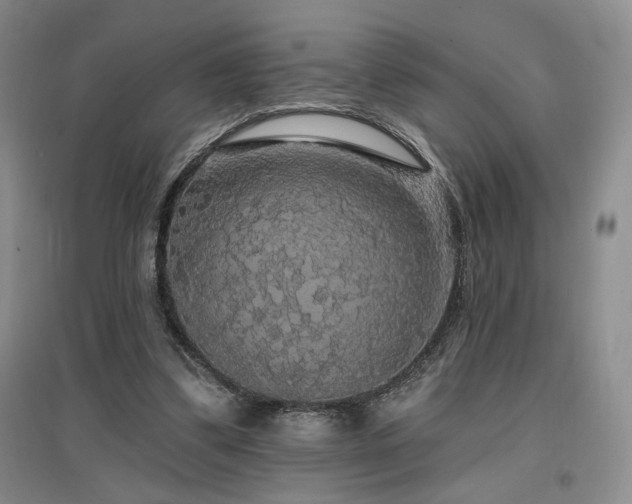 X0000097510299200802221513