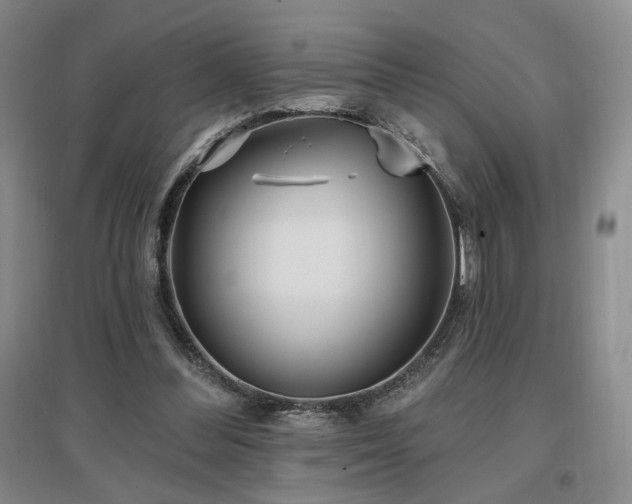 X0000097510300200802221513
