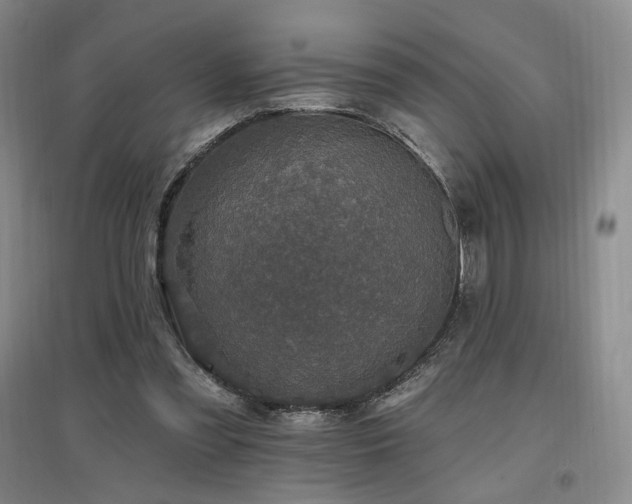 X0000097510301200802221513