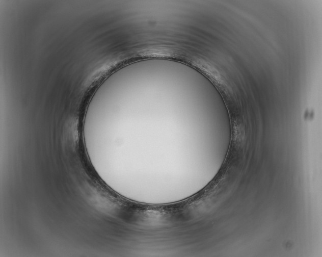 X0000097510302200802221513