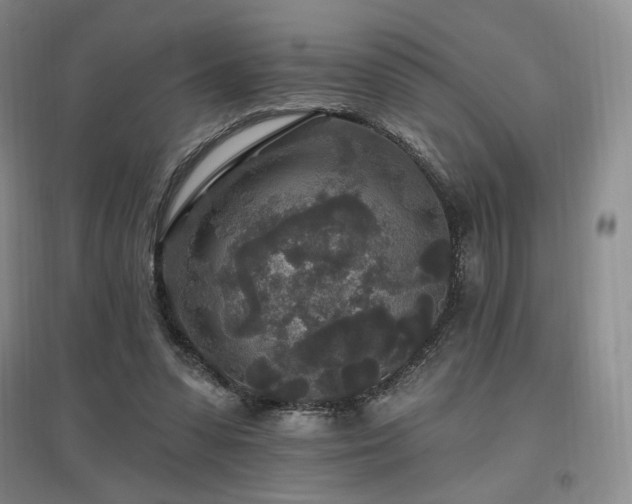 X0000097510303200802221513