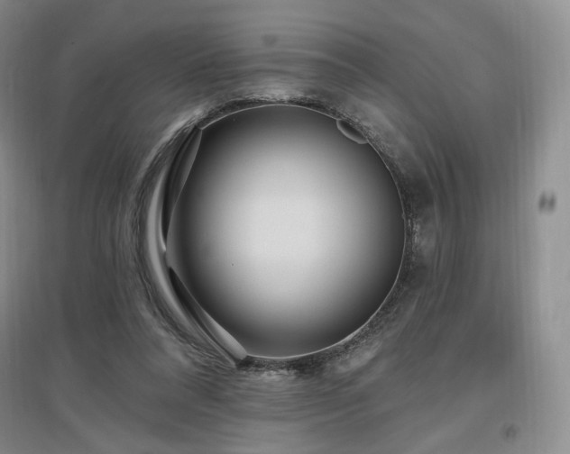 X0000097510304200802221513