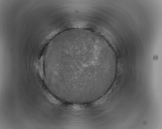 X0000097510305200802221513