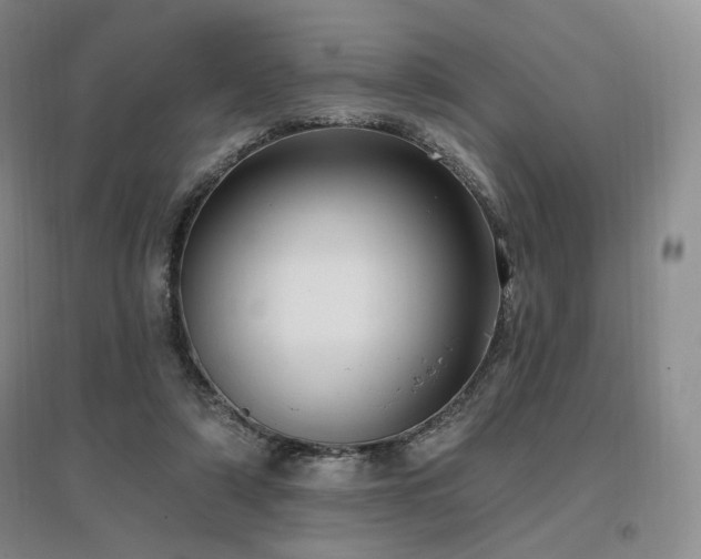 X0000097510306200802221513