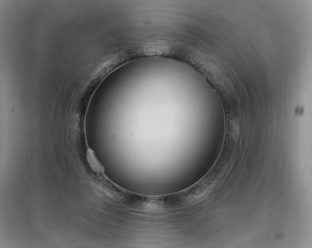 X0000097510308200802221513