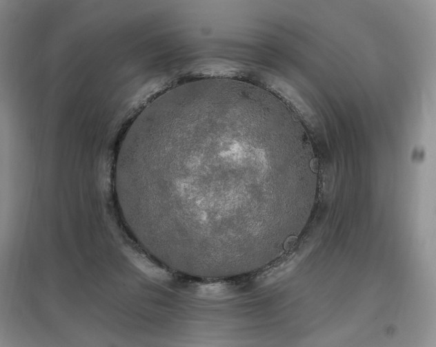 X0000097510309200802221513