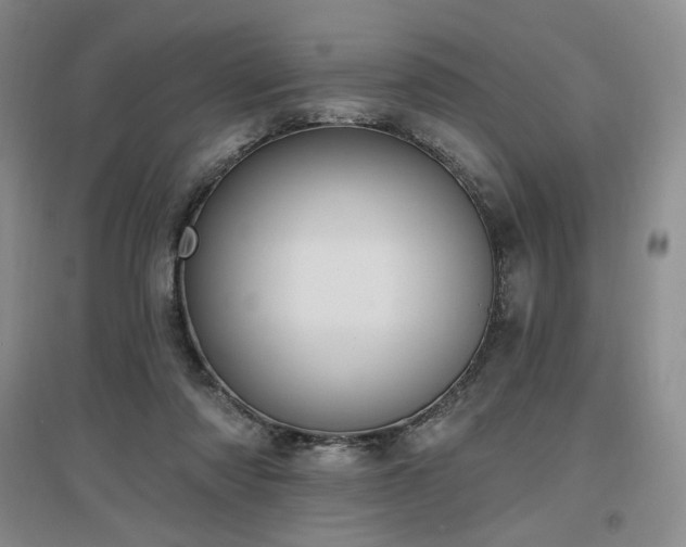 X0000097510310200802221513