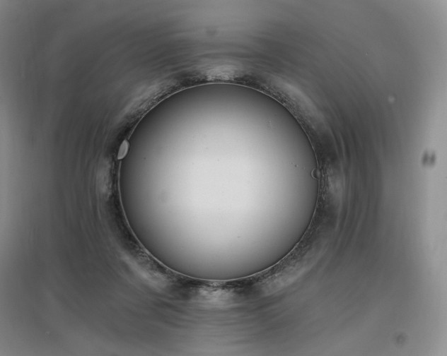 X0000097510311200802221513